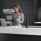 Peerless P7919LF-BL Xander Single Handle Pulldown Kitchen Faucet in Matte Black Finish