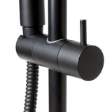 ALFI Brand AB7938-BM Black Matte Round Sliding Rail Hand Shower Set