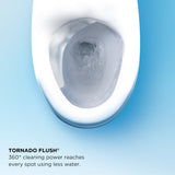 TOTO MW6243084CEFG#01 Washlet+ Legato One-Piece 1.28 GPF Toilet and Washlet C5 Bidet Seat